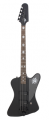 Epiphone Nikki Sixx Blackbird